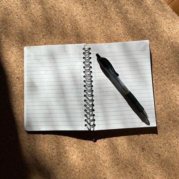 2006 Vintage ‘Boys Make Good Pets’ David & Goliath Spiral Notebook Journal - Picture 4 of 6